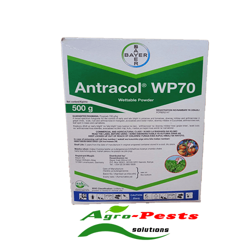 Antracol Wp G Agropests