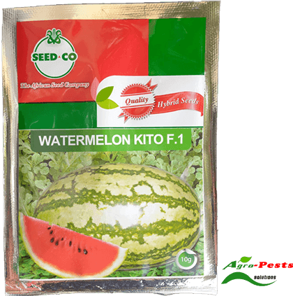 Kito F Watermelon G Agropests