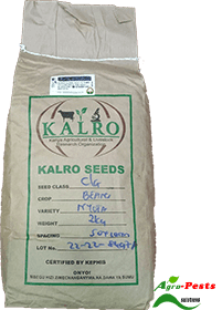 Nyota beans Kalro 2Kg - Agropests